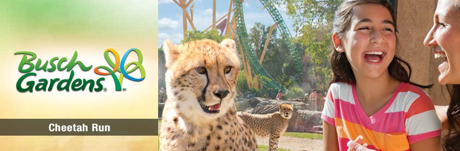 SeaWorld - Two Park Ticket - Acima de 3 anos "New Year Sale"